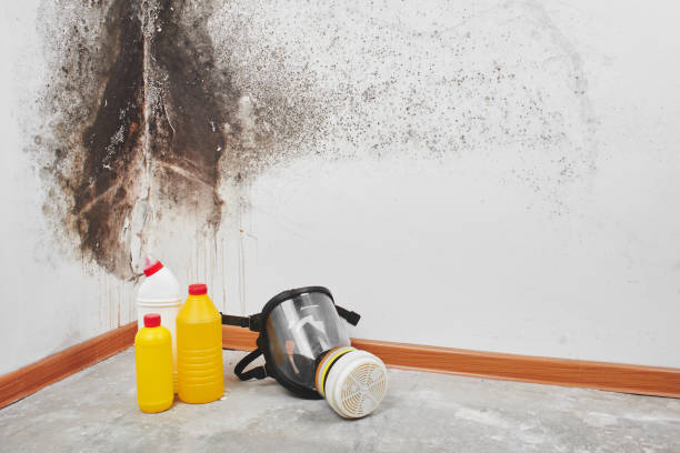 Best Residential Mold Removal  in Tyler Run, PA