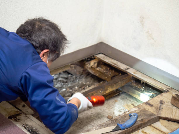 Office Mold Removal Services in Tyler Run, PA