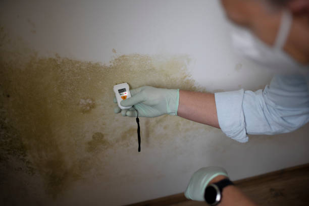 Best Certified Mold Removal  in Tyler Run, PA