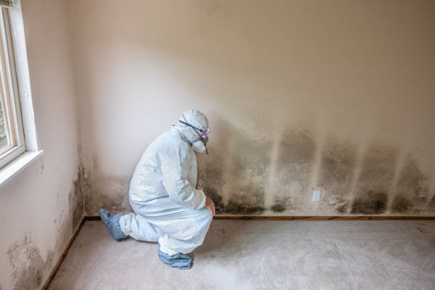 Crawl Space Mold Removal in Tyler Run, PA